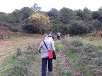 2018-11-12 13.58.59 (Grand)